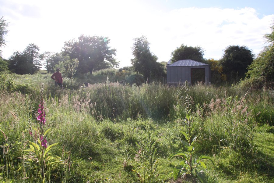 Hébergement AbracadaRoom : Lodge Nymphéa 2 - Image 10