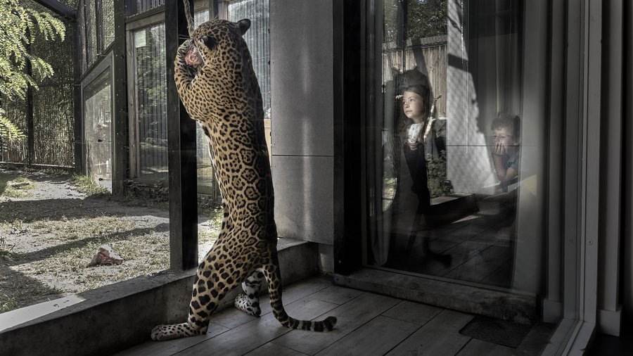 Hébergement AbracadaRoom : Lodge Jaguars & Spa & Dîner - Accès au zoo - Image 1