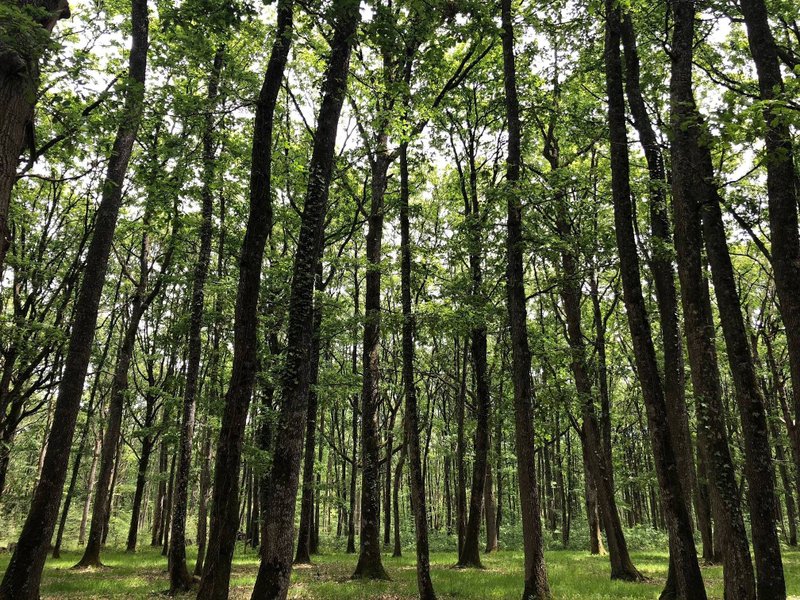 Hébergement AbracadaRoom : Suite « Lucien » & Spa & Sauna - Image 16