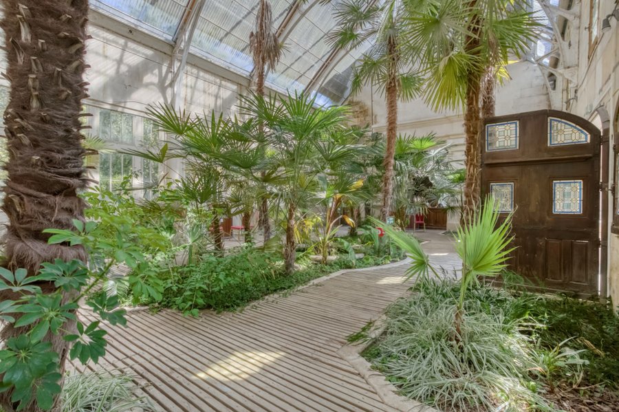 Domaine AbracadaRoom : Sur un Arbre Perché - Image 7