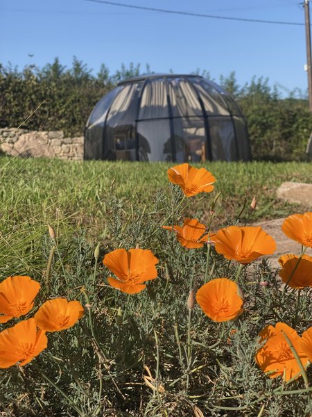 Domaine AbracadaRoom : La bougie perlée - Image 2