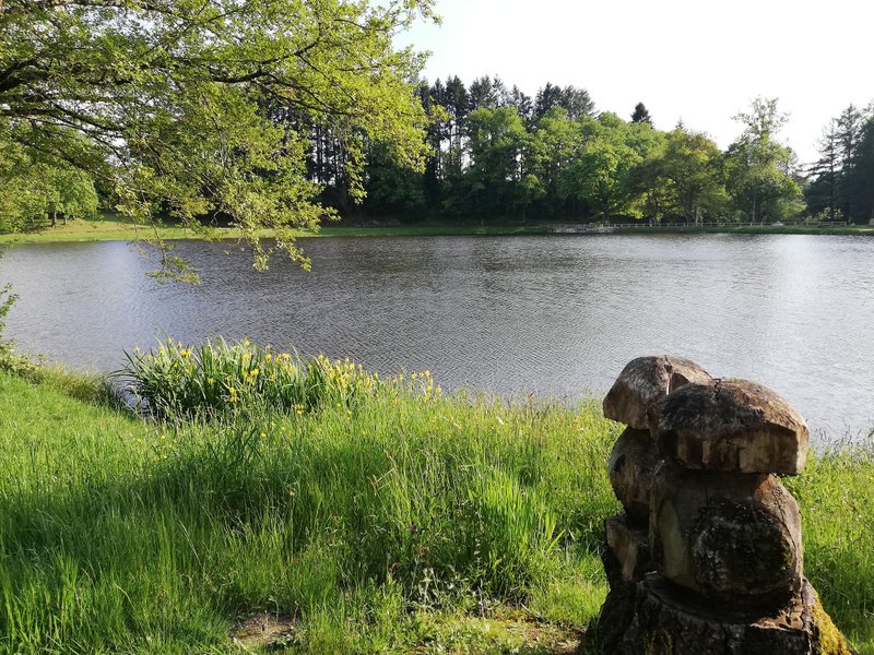 Hébergement AbracadaRoom : Le pré des eaux - Image 3