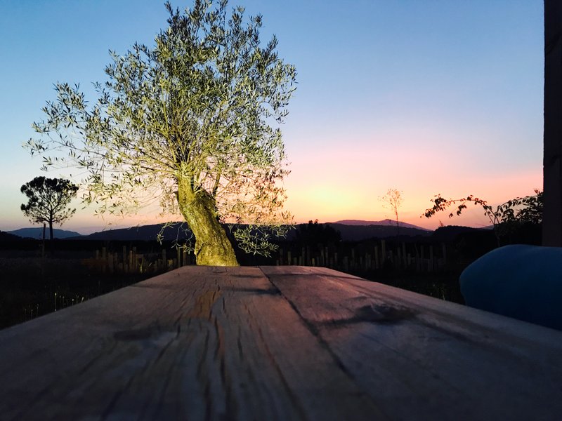 Domaine AbracadaRoom : Les Bulles de Savoie - Image 14