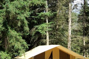 Tente et tente lodge Vendée