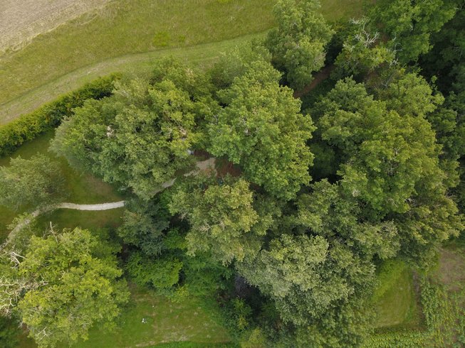 Domaine AbracadaRoom : A la douceur des chênes - Image 3
