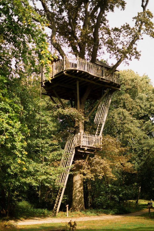 Cabane Imprenable à Raray (7)
