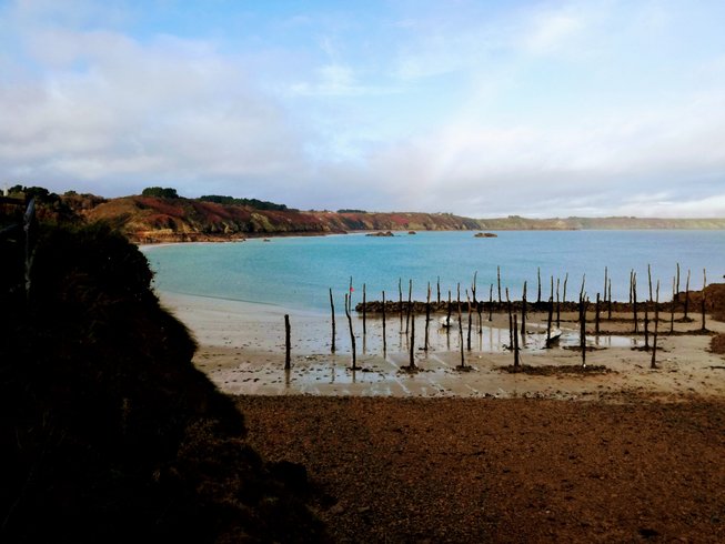 Hébergement AbracadaRoom : Le petit gîte de Mag - Image 19