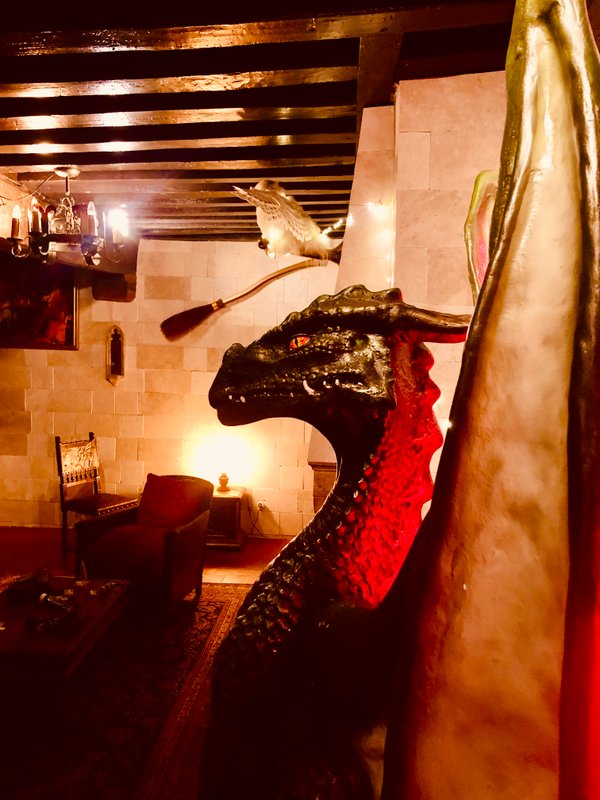 Appartement du sorcier Immersif et mémorable & Parking à Dijon (17)