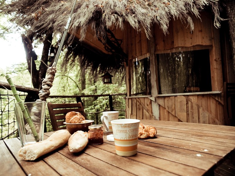 Domaine AbracadaRoom : L'Arbre à Cabane - Image 4