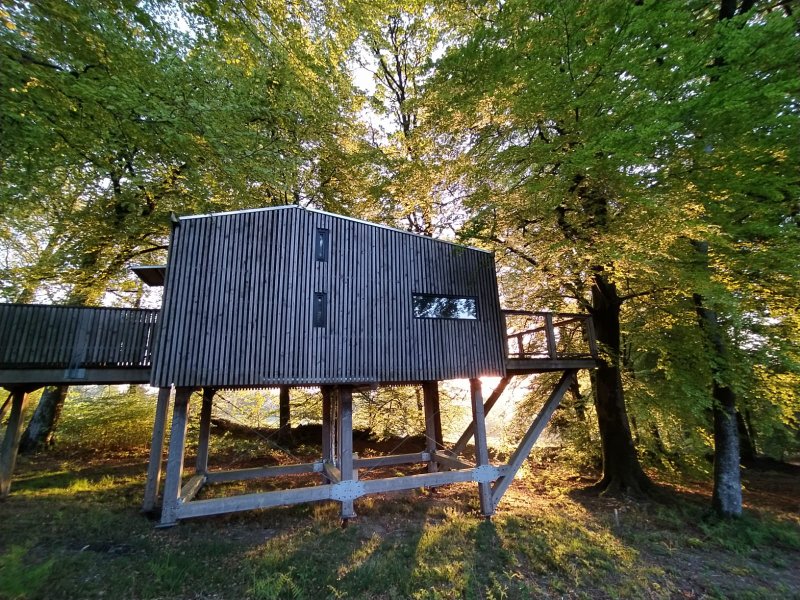 Hébergement AbracadaRoom : Cabane Spa dans les arbres (4m) - Image 3