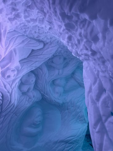 Hébergement AbracadaRoom : Village Igloo Arcs - Image 7