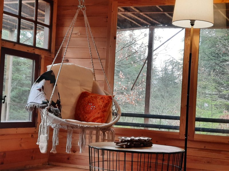 Hébergement AbracadaRoom : Forest Cocoon & Spa - Image 8