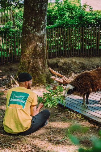 Domaine AbracadaRoom : Seasonova Camping Vittel - Image 3