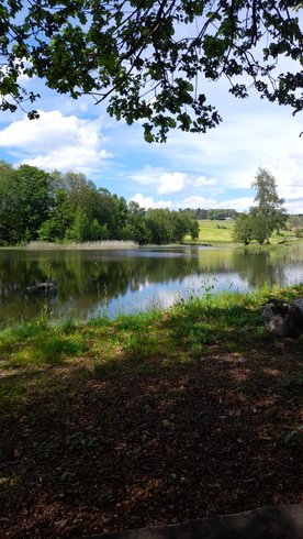 Domaine AbracadaRoom : TINY DES ETANGS - Image 4