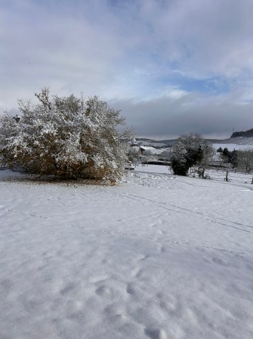 Domaine AbracadaRoom : Nuit's Féerique en Champagne - Image 14