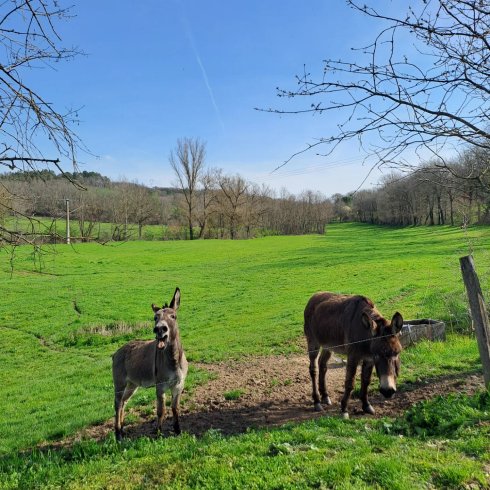 Hébergement AbracadaRoom : L'Ephémère & Spa - Image 16