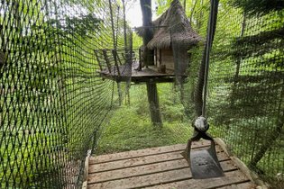 Cabane dans les arbres Seine-Maritime