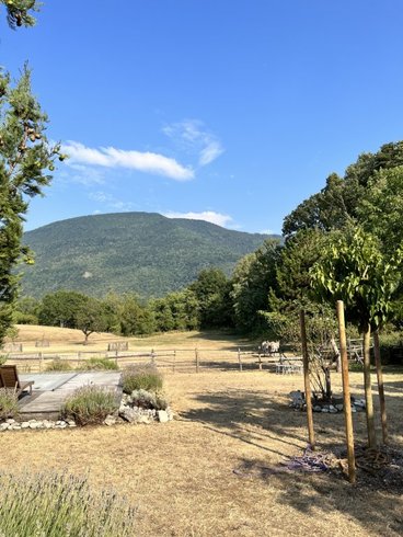 Domaine AbracadaRoom : Maison d'hôtes de la Santon - Image 22