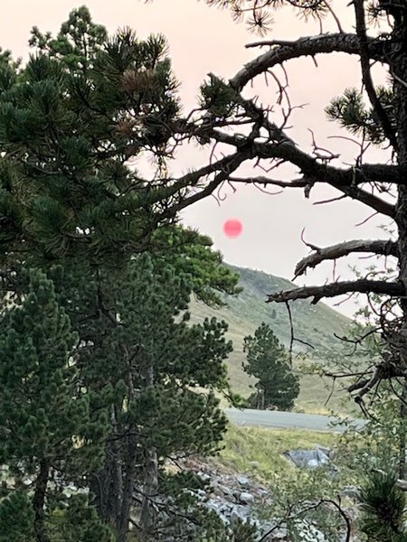 Domaine AbracadaRoom : BULLE D’OXYGÈNE 1650 - Image 39