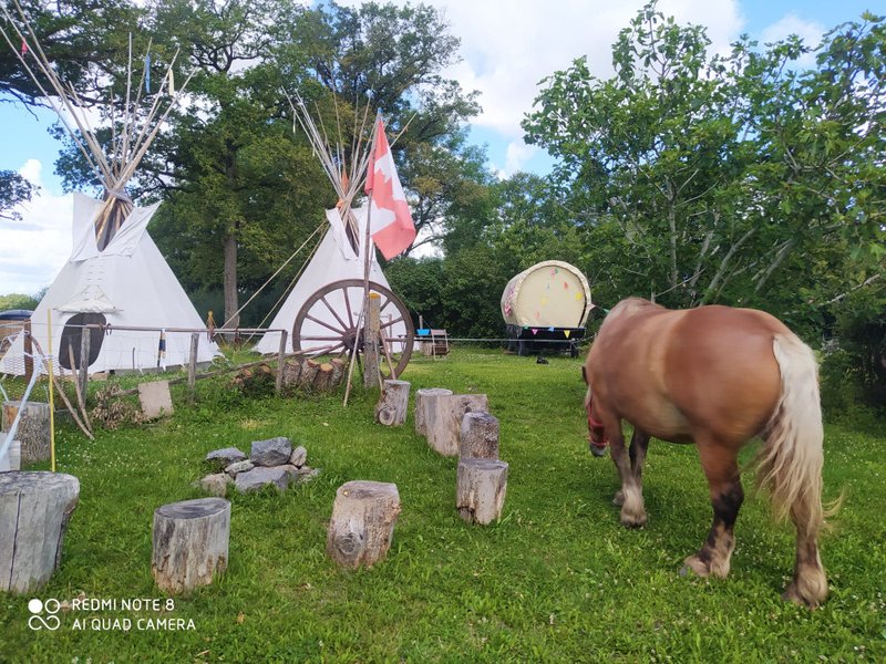 Hébergement AbracadaRoom : Le chariot RANGER - Image 3