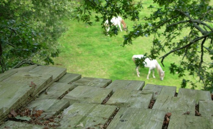 Hébergement AbracadaRoom : La Cabane perchée Nijal - Image 5