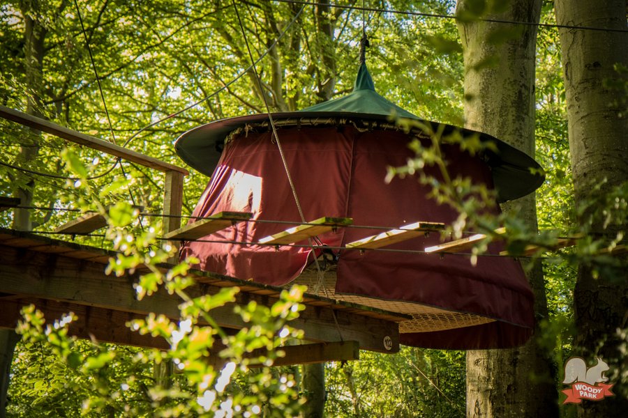 Hébergement AbracadaRoom : Tente suspendue Woody Park - Image 5