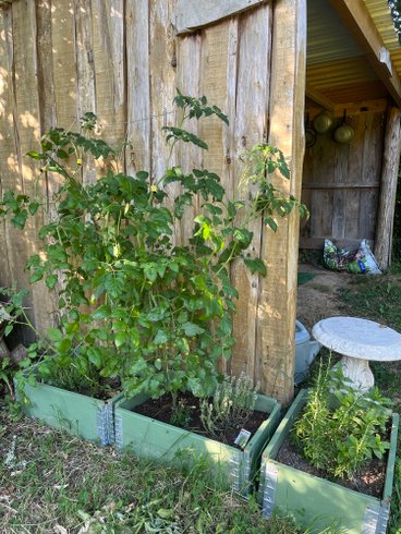 Hébergement AbracadaRoom : Tente Lotus & bain nordique partagé - Image 12