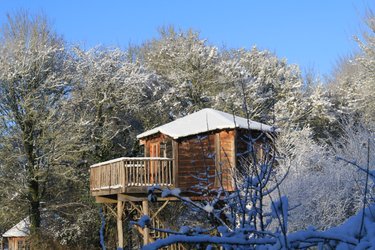 cabane dans les arbres sous la neige