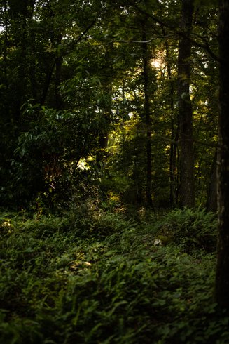 Hébergement AbracadaRoom : Le Nid d'Andrésis - Image 17