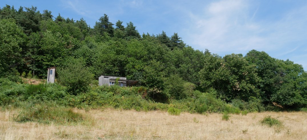 Hébergement AbracadaRoom : Tiny en pleine nature pour se ressourcer - Image 26