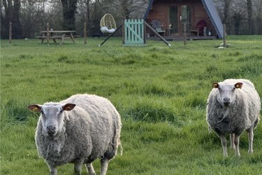 Cabane insolite en A “La Pause Sauvage” à Gisay La Coudre (3)