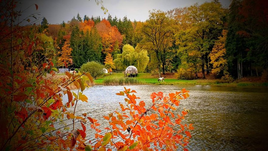 Hébergement AbracadaRoom : Grande ourse - Image 7