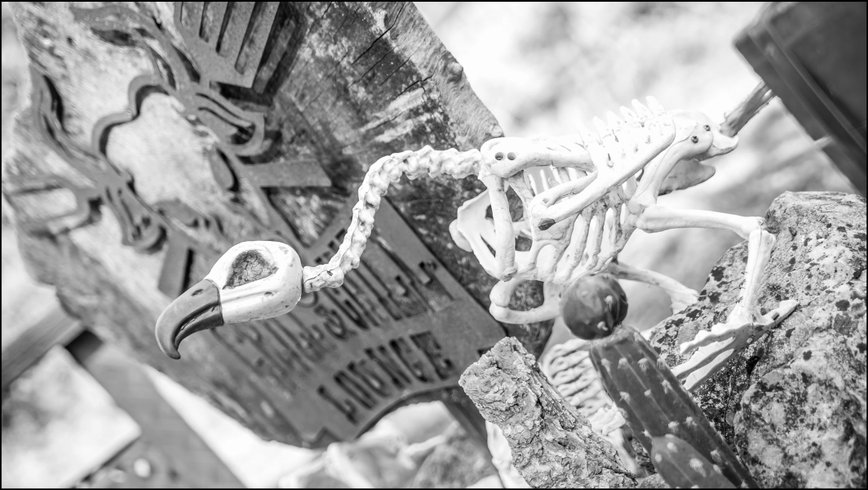 Hébergement AbracadaRoom : Bulle Texas – Luxe  & SPA – Vue Lac Aiguebelette - Image 38