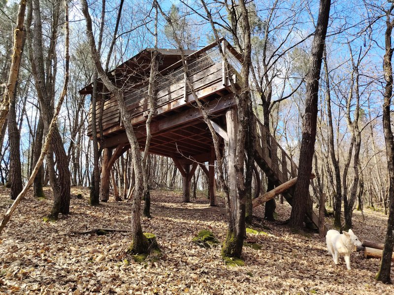 Hébergement AbracadaRoom : Cabane Murmure de Feuilles – Une parenthèse suspendue au cœur de la nature - Image 3