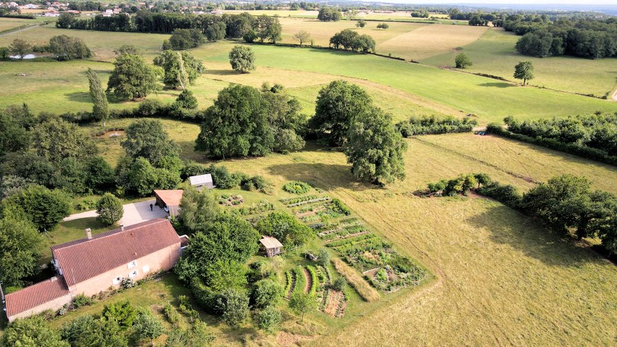 Domaine AbracadaRoom : Queues de Cerises et Pissenlits - Image 4