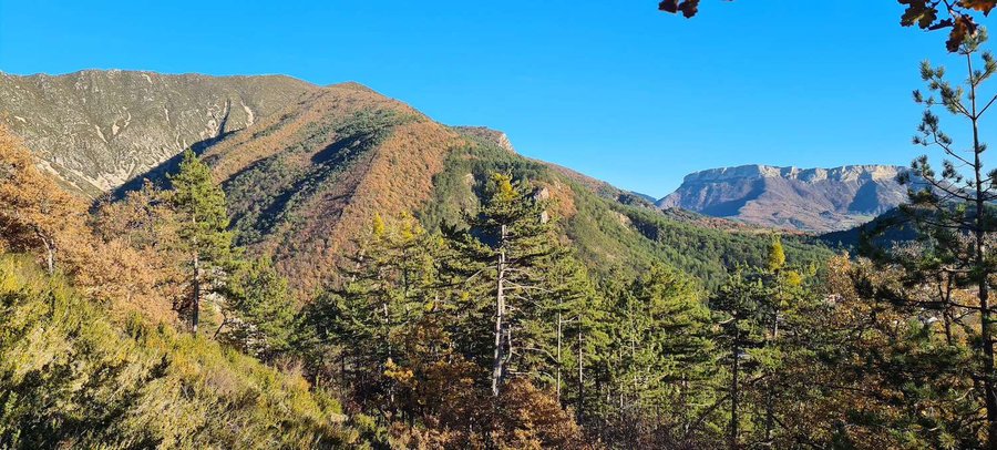 Domaine AbracadaRoom : ALPINEST - Les Cabanes du Pas de la Louve - Image 14