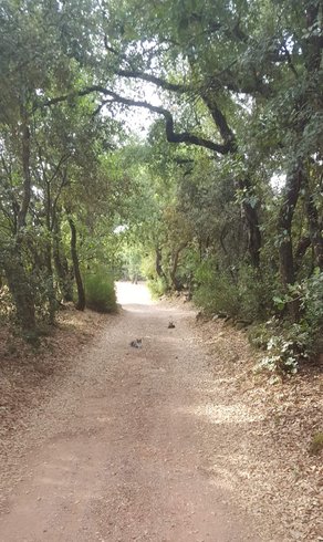 Domaine AbracadaRoom : Les Ecuries du Soleil - Image 16