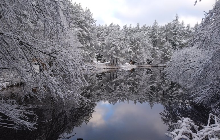 Domaine AbracadaRoom : Le bois des Nenuphars-Gite insolite - Image 5