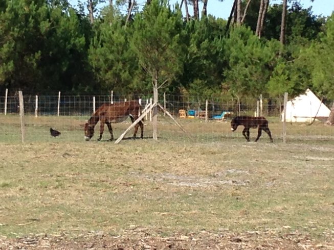 Domaine AbracadaRoom : Parenthèse Nuit - Image 7