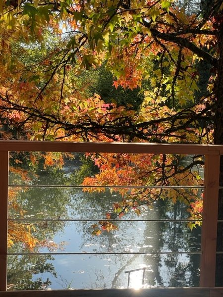 Hébergement AbracadaRoom : Terrasse sur l’eau, gîte en châtaignier - Image 3