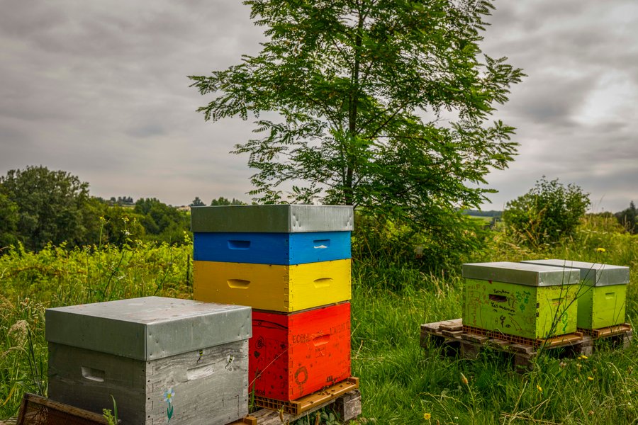 Hébergement AbracadaRoom : Tiny House La Vendange proche de Saint Emilion - Image 24