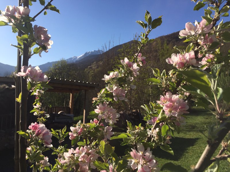 Domaine AbracadaRoom : GITE DE LA BOUCHE - Image 11