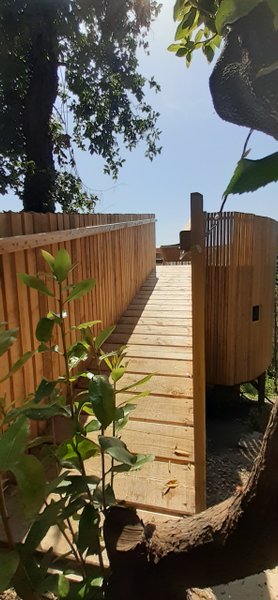 Hébergement AbracadaRoom : Cabane l'Albitru - Image 11