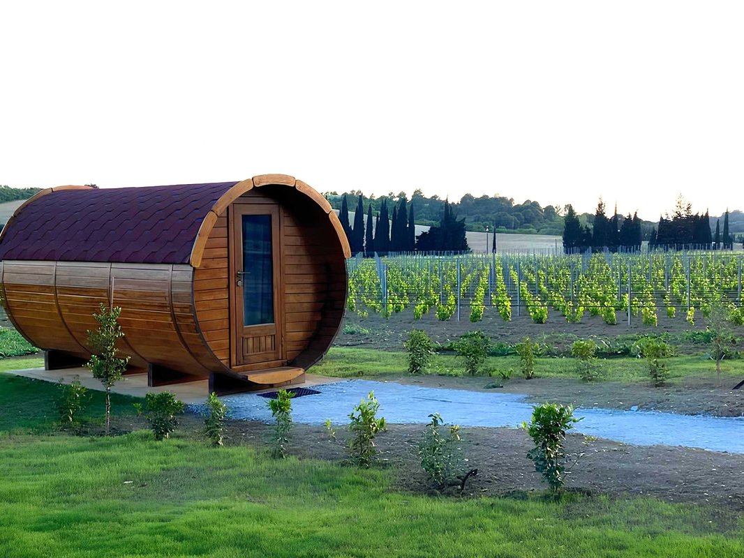 Échappée vigneronne à Pennautier (1)