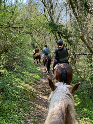 Domaine AbracadaRoom : Centre Equestre de la Vallée - Image 4