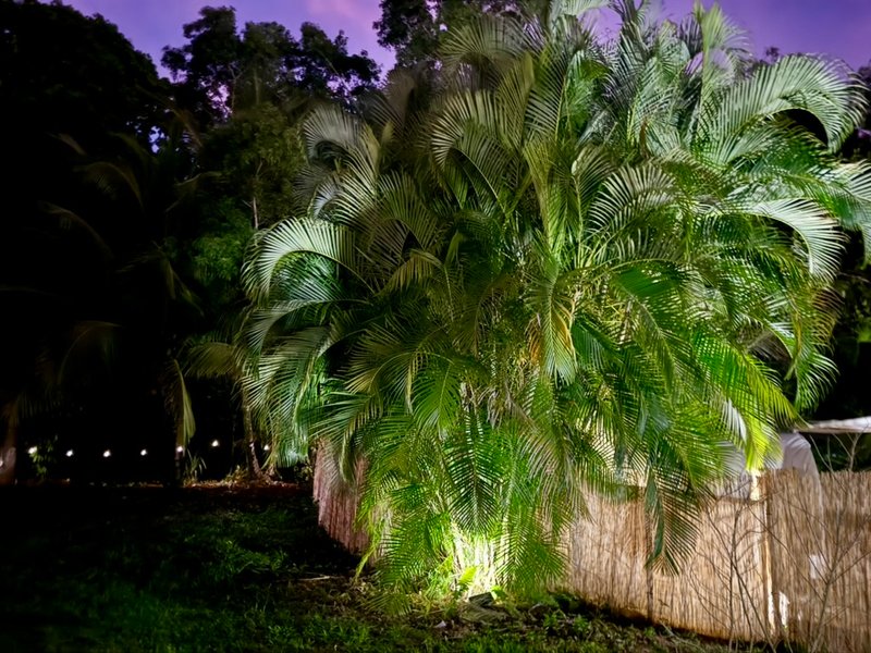 Hébergement AbracadaRoom : BULLE RIVIERA & SPA - Image 14