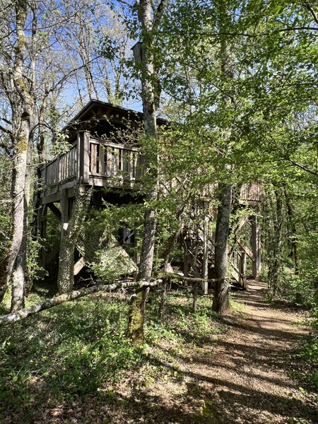 Hébergement AbracadaRoom : Cabane Perchée Jurassic - Image 25