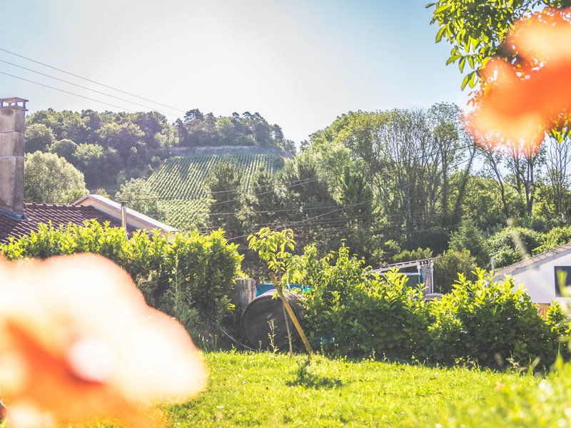 Hébergement AbracadaRoom : ECOLODGE LE PINOT GRIS - Image 18