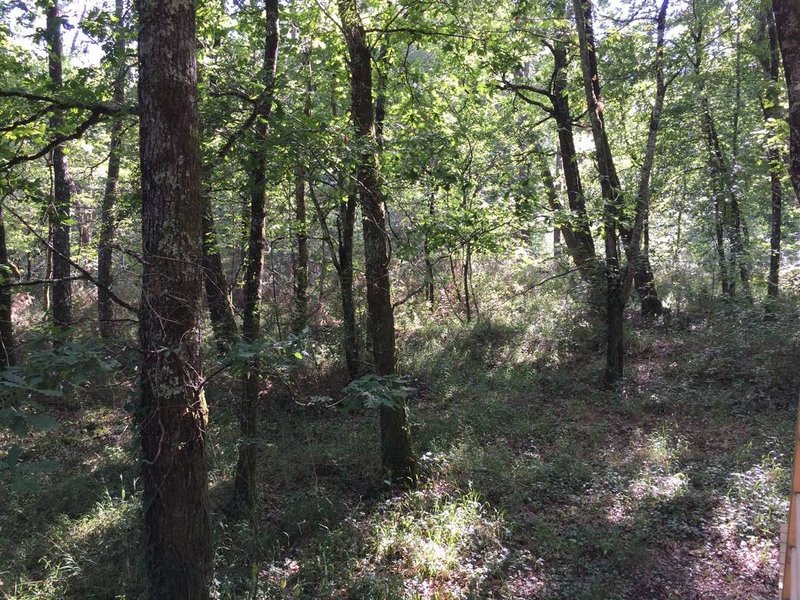 Hébergement AbracadaRoom : Bulle Spa Petit Verdot - Image 3