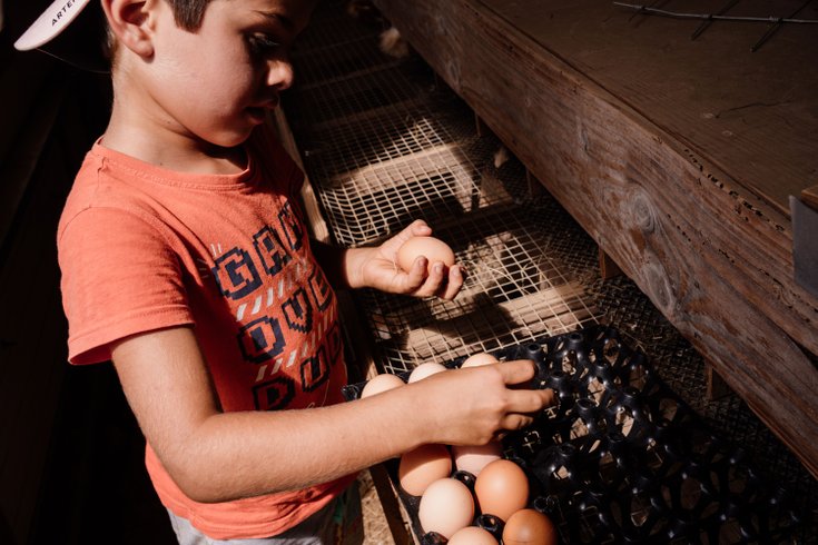 Domaine AbracadaRoom : Un Lit au Pré - Ô Manoir de Glam's - Image 5
